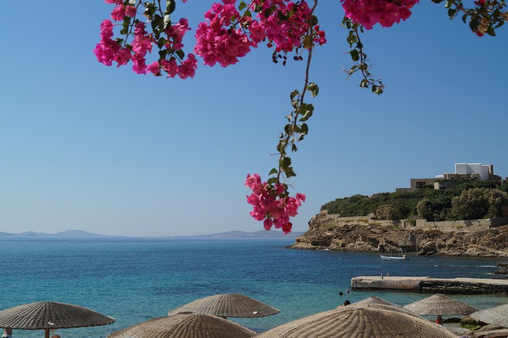 Amazing View Hotel Apartments Agios Stefanos  Exteriér fotografie